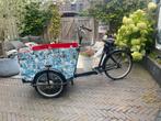 Honden bakfiets Babboe, opknapper, Fietsen en Brommers, Fietsen | Bakfietsen, Ophalen, Gebruikt, Overige merken