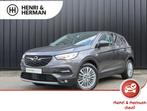 Opel Grandland X 130pk Turbo Innovation (1ste eig/Camera/AGR, Auto's, Opel, Te koop, Zilver of Grijs, Benzine, Dodehoekdetectie