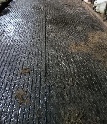 Gebruikte Cow Rubber loopgang vloer beschikbaar voor biedingen