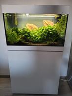 Styleline 125 compleet, Dieren en Toebehoren, Vissen | Aquaria en Toebehoren, Ophalen, Zo goed als nieuw, Gevuld zoetwateraquarium