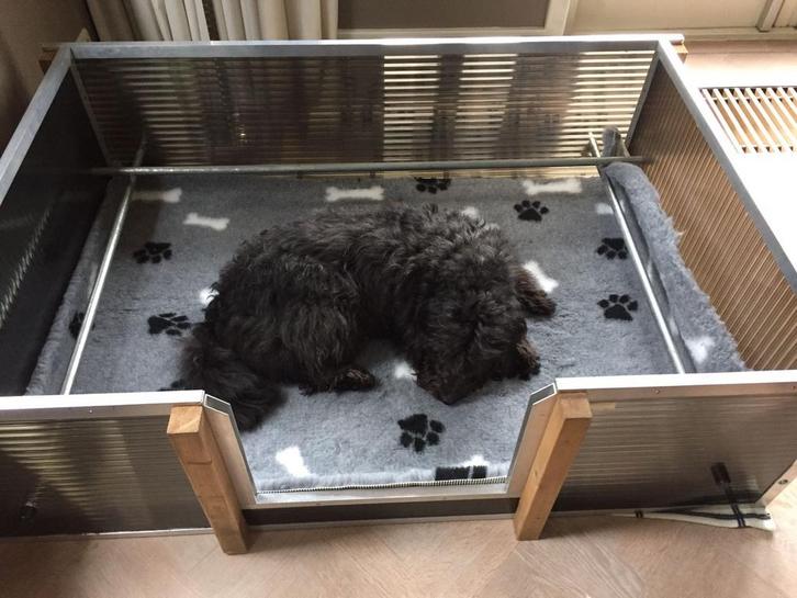 Te huur verhuur werpkist voor honden van polycarbonaat, Dieren en Toebehoren, Hondenhokken, Zo goed als nieuw, Ophalen