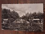 Fotokaart Zeegse - Paviljoen "Duinoord" - 1960, Ophalen of Verzenden, 1940 tot 1960, Gelopen, Drenthe