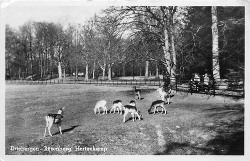 (388-408-025) Driebergen-Rijsenburg Hertenkamp, Verzamelen, Ansichtkaarten | Nederland, Utrecht, Verzenden