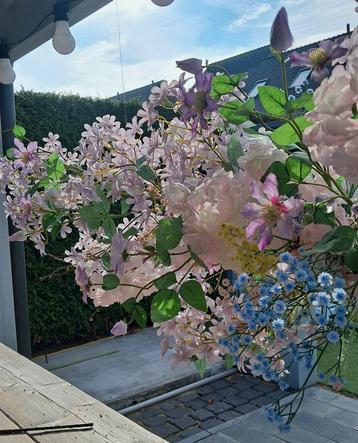 Backdrop Bloesems beschikbaar voor biedingen