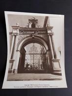 Originele foto van Paramount Pictures uit 1952, Ophalen of Verzenden, Gebruikt, Film, Foto of Kaart