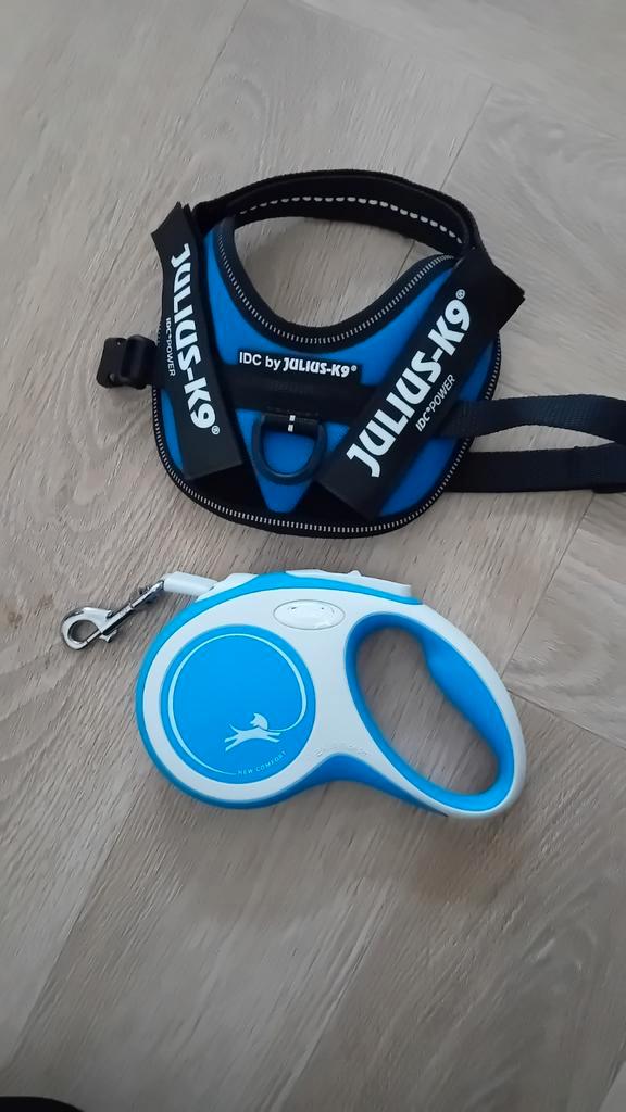 Bijna nieuwe julius-k9 puppy riem compleet, Dieren en Toebehoren, Hondenriemen, Zo goed als nieuw, Ophalen of Verzenden