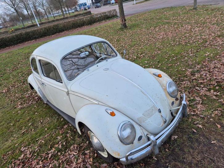 Volkswagen kever 1962 originele lak, Auto's, Oldtimers, Bedrijf, Benzine, Handgeschakeld, Ophalen of Verzenden