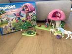 Playmobil Fairies (6055), Ophalen of Verzenden, Gebruikt, Complete set