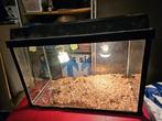 Terrarium / aquarium 60*30*45, Dieren en Toebehoren, Reptielen en Amfibieën | Toebehoren, Ophalen of Verzenden, Gebruikt, Terrarium of Paludarium