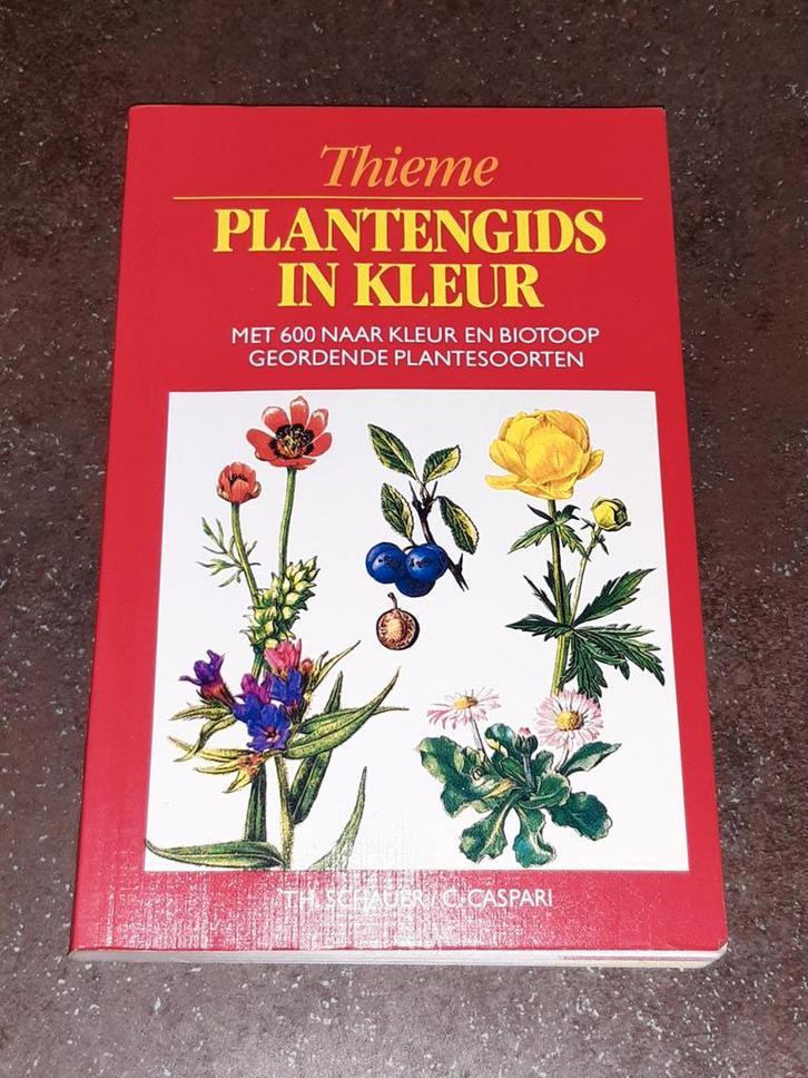 Thieme plantengids in kleur / planten herkennen, Boeken, Natuur, Zo goed als nieuw, Bloemen, Planten en Bomen, Ophalen of Verzenden