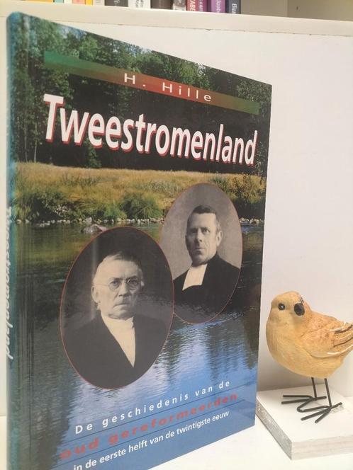 Hille, H.; Tweestromenland, Boeken, Godsdienst en Theologie, Gelezen, Christendom | Protestants, Ophalen of Verzenden