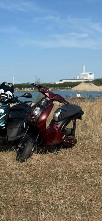 Peugeot ludix beschikbaar voor biedingen