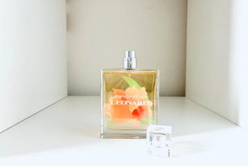 Leonard, L'Orchidée⚜️🌺⚜️ beschikbaar voor biedingen