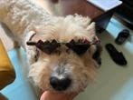 Designbril Maske Berlin Ethno 3 ongedragen (1x door de hond), Zonnebril, Info@google.de, Ophalen of Verzenden, Zo goed als nieuw
