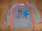 Didi longsleeve maat 128 met grijs/ zilveren mouwen, Ophalen of Verzenden, Zo goed als nieuw, Meisje, Shirt of Longsleeve