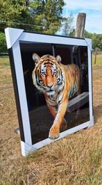 Doek leeuw en/of tijger met een zeer krachtige uitstraling💪, Ophalen, ., Nieuw, .