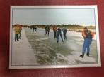 Elfstedentocht 1997 Zwette, Verzamelen, Ansichtkaarten | Themakaarten, Ophalen of Verzenden, 1980 tot heden