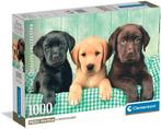 Clementoni - Puzzel - 1000 Stukjes - Drie Labradors , Ophalen of Verzenden, 500 t/m 1500 stukjes, Nieuw