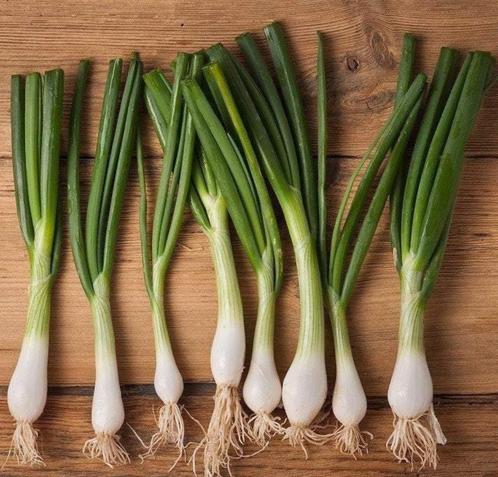 Lente ui "Welch onion Bajkal" - zaden, Tuin en Terras, Bloembollen en Zaden, Zaad, Voorjaar, Volle zon, Verzenden