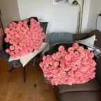 Rozen (200 max), Volle zon, Eenjarig, Zomer, Ophalen