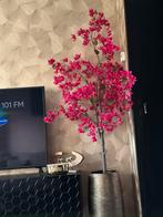 Bloesem boom, Ophalen, Zo goed als nieuw