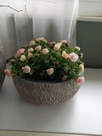 mooie grote brocante pot met roosjes, Ophalen of Verzenden, Zo goed als nieuw, Binnen