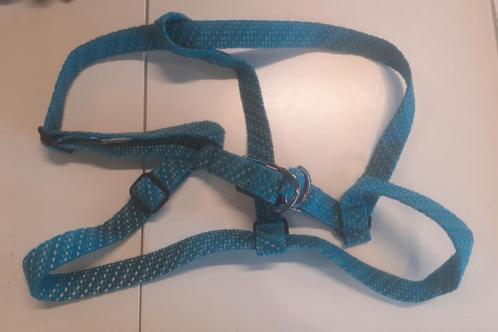 Blauw/groen hondentuig 70 cm, Dieren en Toebehoren, Hondenriemen, Gebruikt, Ophalen