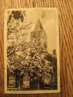 de betuwe in bloei, Verzamelen, Ansichtkaarten | Nederland, Ophalen, 1960 tot 1980, Gelopen, Gelderland