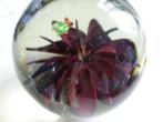 Art Blowing Paperweight Lamworkflower with insect, Antiek en Kunst, Antiek | Glas en Kristal, Ophalen of Verzenden