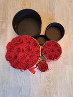 geconserveerde echte rozen, Ophalen of Verzenden, Nieuw