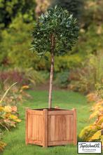 Bloembak Kalimantan 51 x 51 x 56 cm – Luxe Teakhout, Ophalen of Verzenden, Nieuw, Hout, Tuin