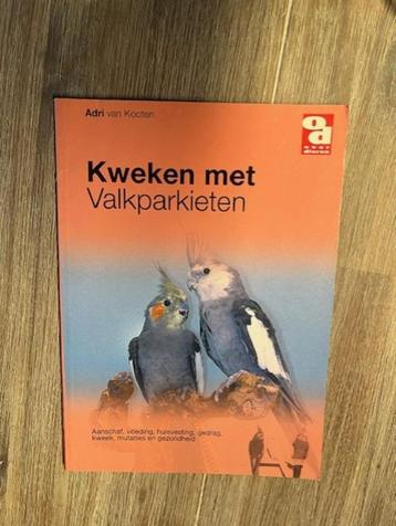 kweken met valkparkieten beschikbaar voor biedingen