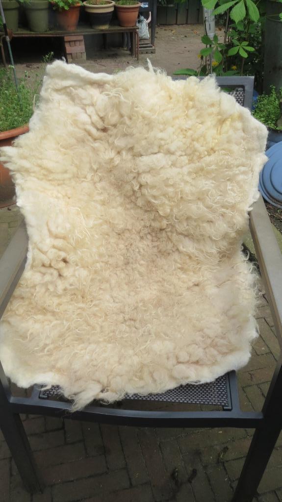 Ouessant schaap hand gevilte vacht, 85x60cm, roomwit, wol, Huis en Inrichting, Woonaccessoires | Plaids en Woondekens, Nieuw, Verzenden