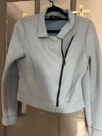 Suede achtig jasje van Envy, Ophalen of Verzenden, Zo goed als nieuw, Maat 46/48 (XL) of groter, Blauw