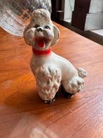 Vintage Porseleinen Poedel Hond Wit, Ophalen of Verzenden