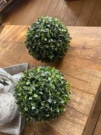 Buxus bollen, Ophalen of Verzenden, Zo goed als nieuw