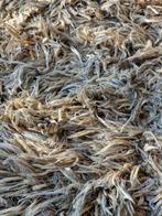 geknoopt wollen vloerkleed, Ophalen, 150 tot 200 cm, 200 cm of meer, Zo goed als nieuw