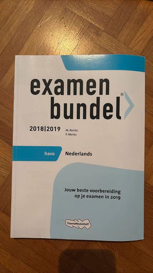 M. Reints - havo Nederlands 2018/2019, Boeken, Schoolboeken, Zo goed als nieuw, Nederlands, HAVO, Ophalen of Verzenden