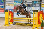 Stalling gezocht omgeving Midden-Drenthe, Dieren en Toebehoren, Stalling en Weidegang, Weidegang, 1 paard of pony