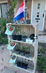 Salvia stekken te koop! ALLEEN NOG RODE!, Ophalen, Zomer, Overige soorten, Volle zon