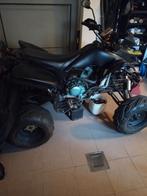 Quad 300cc met kenteken, Ophalen, Zo goed als nieuw, Overige typen