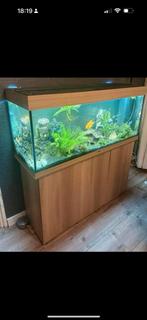 Juwel rio 240, Ophalen, Zo goed als nieuw, Leeg aquarium