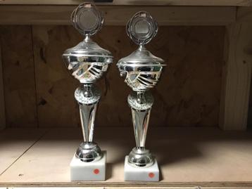 Sport-rijzen  beschikbaar voor biedingen