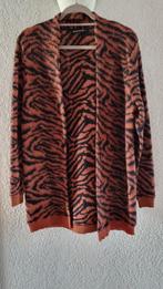 Vest, Kleding | Dames, Truien en Vesten, Maat 38/40 (M), Overige kleuren, Expresso, Ophalen of Verzenden