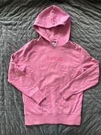 Raizzed Hoody Pink mt 152 capuchon trui hoodie, Meisje, Trui of Vest, Ophalen of Verzenden, Zo goed als nieuw