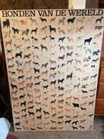 Affiche Honden van de Wereld, Ophalen, A1 t/m A3, Rechthoekig Staand