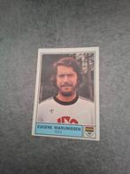 Panini sticker Voetbal 78. Speler Eugene Marijnissen NEC., Verzenden, Zo goed als nieuw, Sticker