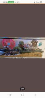 Terrarium, Ophalen of Verzenden, Hok, Minder dan 60 cm