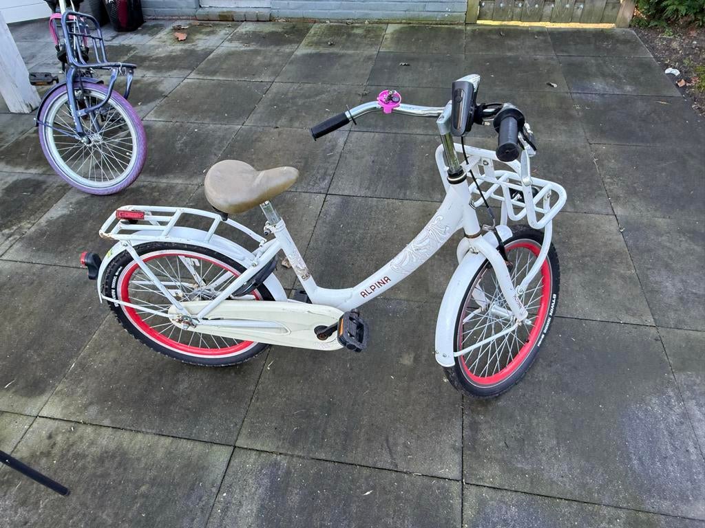 Alpina Meisjesfiets, Ophalen of Verzenden, Gebruikt, 20 inch, Handrem
