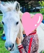 Pony zoekt goed huisje, Dieren en Toebehoren, Paarden en Pony's | Overige Paardenspullen, Ophalen of Verzenden
